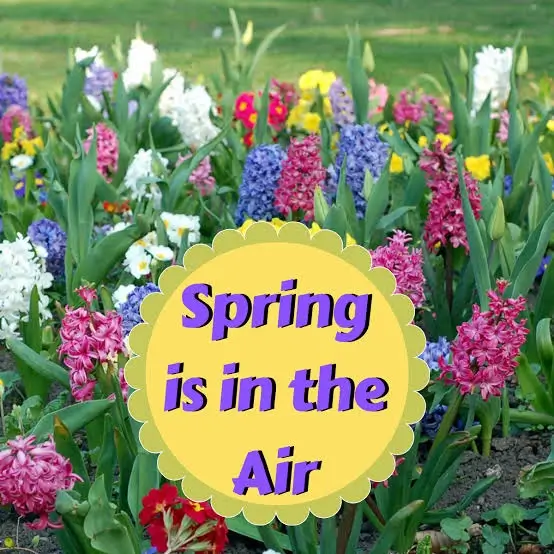 spring is in the air event